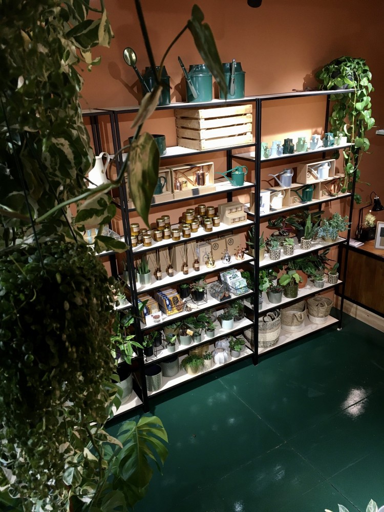 Kleuradvies en Visual Merchandising voor Boutique Botanique te Lokeren